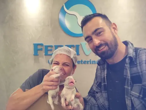 Clientes Felizes