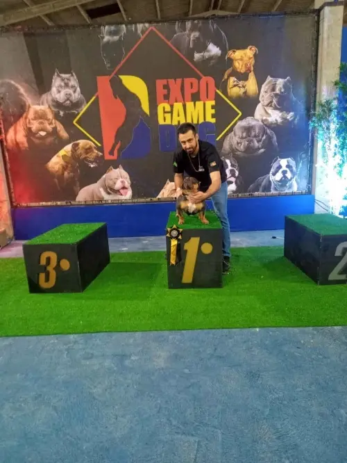 Nossas Premiações