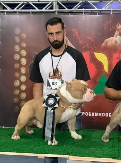 Nossas Premiações